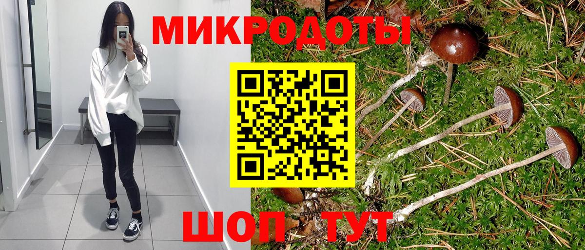 Нарьян-Мар  Псилоцибиновые грибы Psilocybine cubensis  Вход с VPN 